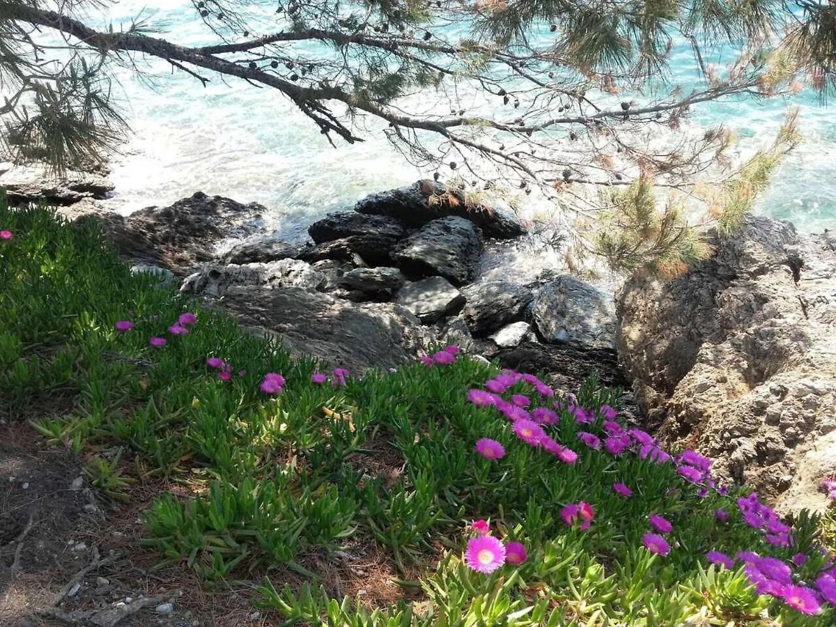 Elegant Apartment With Sea View In Neos Marmaras | 93 Sqm 0*,  יוון