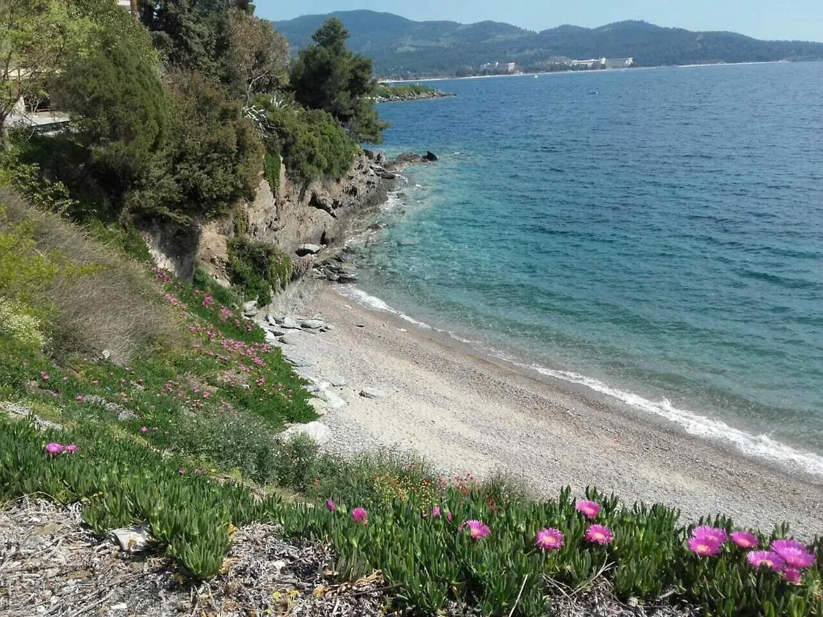 Elegant Apartment With Sea View In Neos Marmaras | 93 Sqm